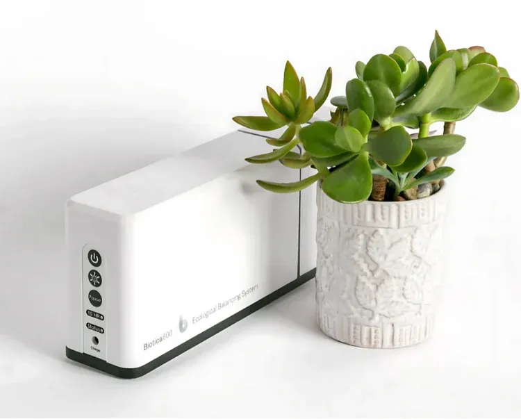 Biotica800 plant.webp
